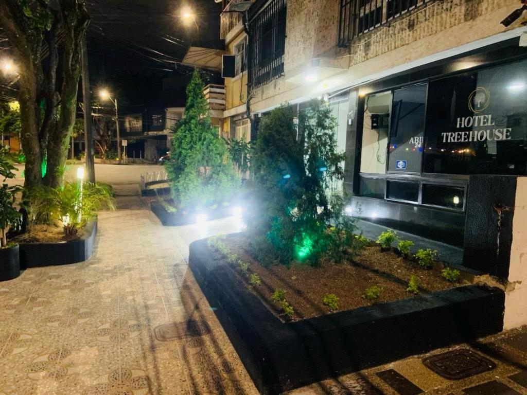 Hotel Tree House Medellín Eksteriør billede